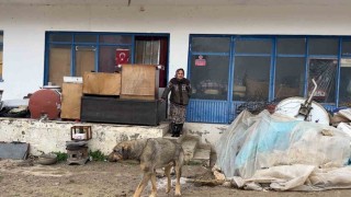 Çaresiz kadın: Belediyeye, kaymakama ve muhtarlığa gittim, huzurevine gitmemi teklif ettiler