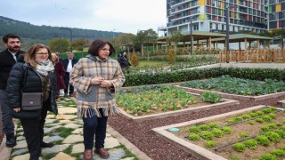 Çocuk Tarım Parkı hizmete açılmaya hazırlanıyor