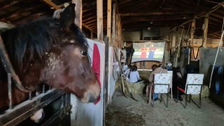 Çocukların at çiftliğinde saman balyaları üstünde sinema keyfi