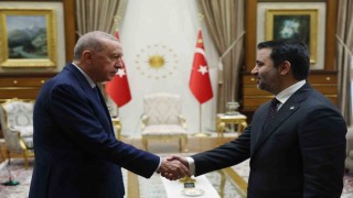 Cumhurbaşkanı Erdoğan, Suriyedeki yeni yönetimin Dışişleri Bakanı Şeybani ile görüştü