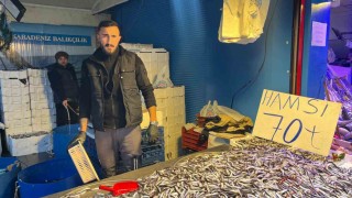 Denizdeki bolluk ve rekabet hamsi fiyatını 70 liraya kadar düşürdü