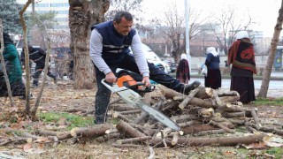 Diyarbakırda 24 bin 833 ağaç budandı