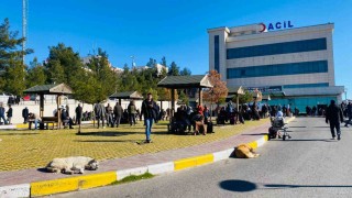 Diyarbakırda köpek saldırısına uğrayan çocuk kafasından yaralandı
