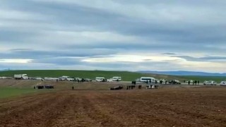 Diyarbakırda üç araç tarlaya uçtu: 5 yaralı