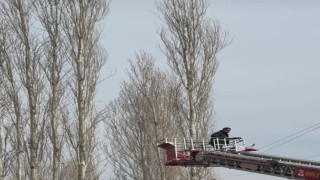 Düğünde uçurulan dron ağaçlara takılınca yardıma itfaiye ekipleri yetişti