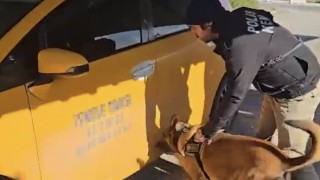 Durdurulan ticari taksiden 5 kilogram 50 gram skunk ele geçirildi