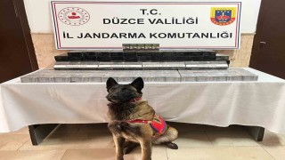 Düzcede tırda bin 69 paket kaçak sigara ele geçirildi