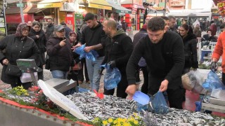 Edirnede hamsi bolluğu: Kilosu 100 liraya düştü