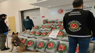 Edirnede tırda 870 kilo skunk ele geçirildi