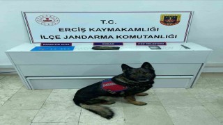 Ercişte uyuşturucu madde operasyonu