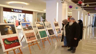 Erzincanda 14. Uluslararası Tarım, Orman ve İnsan Fotoğraf Sergisi açıldı