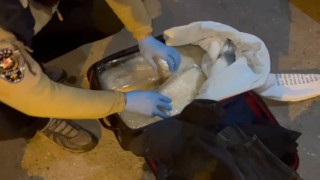 Erzincanda 20 milyon TL değerinde uyuşturucu ele geçirildi
