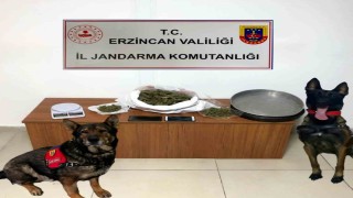 Erzincanda jandarma ekipleri 2024 yılı Aralık ayında meydana gelen olayların yüzde 98ini aydınlattı
