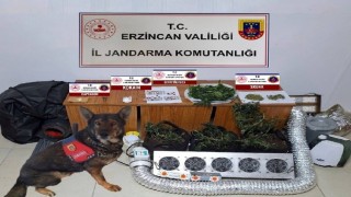Erzincanda jandarma mıntıkasında 2024 yılında meydana gelen olayların yüzde 99u aydınlatıldı