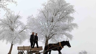 Erzincanın Otlukbeli ilçesi buz tuttu!