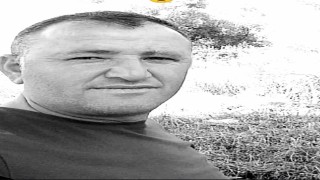 Fidan dikmeye giderken canından oldu