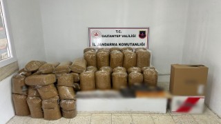 Gaziantepte 1 ton 700 kilo kaçak tütün ele geçirildi: 5 gözaltı