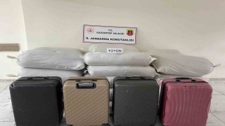 Gaziantepte 1 ton 750 kilo kaçak tütün ele geçirildi