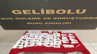 Geliboluda piyasa değeri 300 bin TL olan uyuşturucu madde ele geçirildi