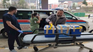 Giresunda beyin ölümü gerçekleşen tiyatro sanatçısının organları 4 kişiye umut oldu