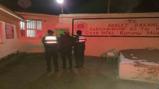 Giresunda jandarmanın operasyonlarında 77 kişi yakalandı