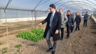 Gölbaşında üreticilere yüzde 70 hibeli sera desteği