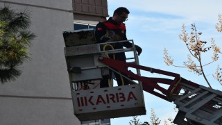 Günlerdir ağaçta mahsur kalan kedi, itfaiyenin çalışmasıyla kurtarıldı