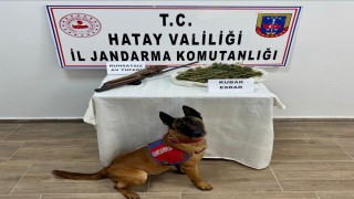 Hatayda Jandarmadan uyuşturucu ve kaçakçılık operasyonu; 25 gözaltı
