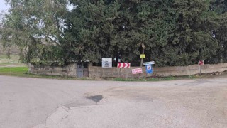 Hatayda vatandaşlara saldıran köpek kuduz çıktı, mahalle karantinaya alındı