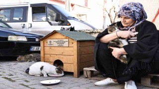 Hayvanseverler istedi, Başkan Çavuşoğlu sözünü tuttu