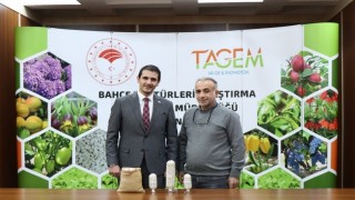 İki adet kuru fasulye cinsi tescil yolunda