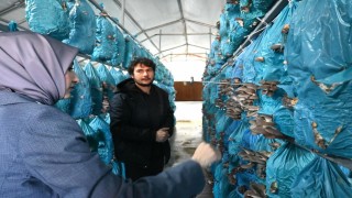 İnhisardan Türkiyeye açılan kapı