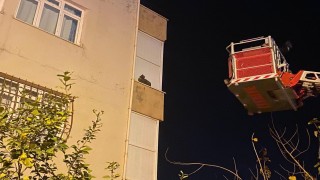 İskenderunda balkonda mahsur kalan kediyi itfaiye kurtardı