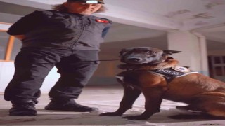 Ispartanın narkotik kahramanı Milon, üçüncü kez ayın köpeği seçildi