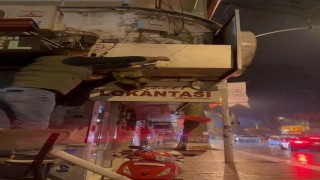 İznikte kablolara dolanan kedi kurtarıldı