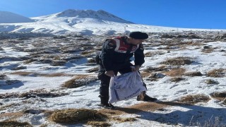 Jandarma ekipleri yaban ve sokak hayvanları için dağlarda