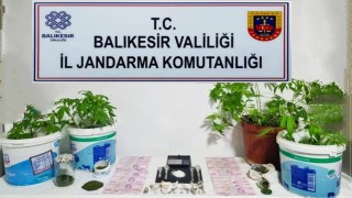 Jandarmadan 6 ilçede uyuşturucu operasyonu
