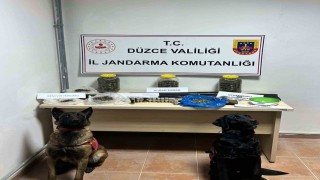 Jandarmadan uyuşturucuya geçit yok