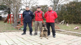 K-9 arama kurtarma köpeği Adam, Türkiyenin en genç eğitmeni ile afetlere hazırlanıyor