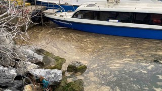Kadıköyde deniz yüzeyinde müsilaj tehdidi