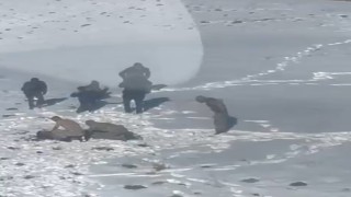 Karlı arazide hipotermi geçiren göçmen kurtarıldı
