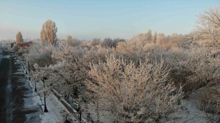 Kars adeta buz kesti