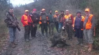 Kastamonuda su borusunu tamir ederken domuzun saldırdığı adam ağır yaralandı
