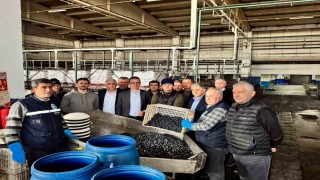 Kaymakam Karaman İznik Zeytin Kooperatifini ziyaret etti