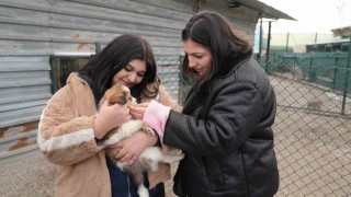 Keçiören Belediyesi Pati Yaşam Köyündeki hayvanların ziyareti 4 güne çıktı