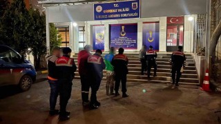 Kırıkkalede büyükbaş hayvan çalan 4 hırsızlık zanlısı tutuklandı