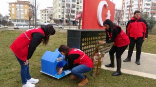 Kızılay gönüllülerinden kedilere sıcak yuva