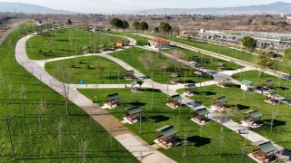 Kocaelide son 22 yılda dikilen ağaç sayısı 9 milyonu geçti