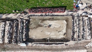 Kumlucada Geleneksel Deve Gösterisi nefes kesti
