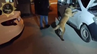Kütahyada uyuşturucu operasyonu